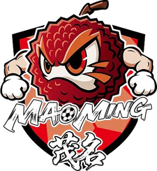广州队